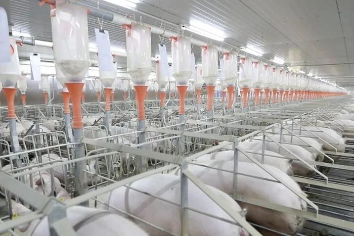 向大海更遠(yuǎn)處航行 劉永好2023寄語與生物飼料研發(fā)的新希望