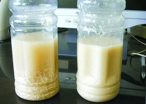 發(fā)酵菌劑在生物飼料研發(fā)中的發(fā)展瓶頸與市場前景探析