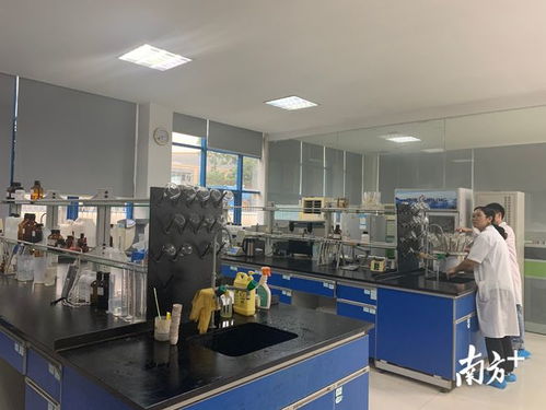 增產(chǎn)20倍，院士專家工作站引領(lǐng)生物飼料研發(fā)革命——聚焦佛山創(chuàng)新驅(qū)動(dòng)助力工程