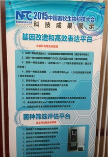 北京科為博生物集團助力中國畜牧生物科技大會，引領生物飼料研發新篇章